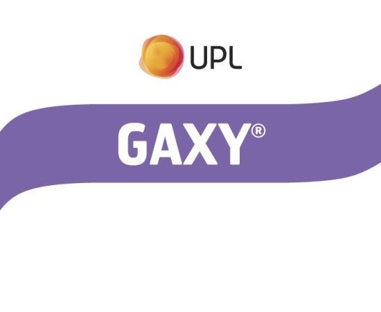 page-header
